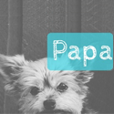 papa